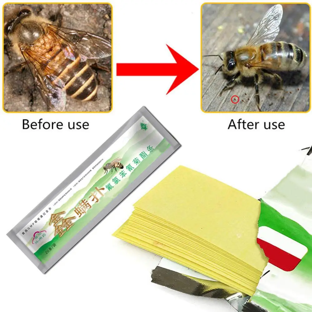 

20pcs Mite Killer Mite Killer Treatment Tool Beekeeping Pest Control Acaricide Against Mite Strip for bee treatment Fast deliver