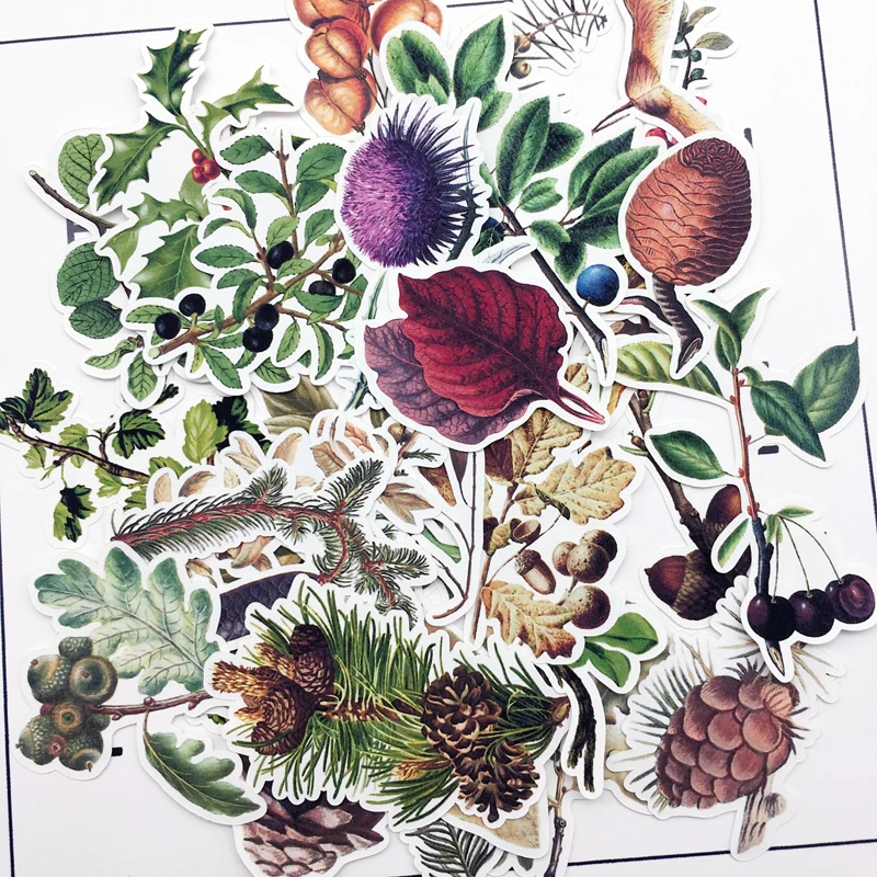 

29 шт., декоративные стикеры в стиле ретро для рисования соснового наклейка с изображением растений, для блокнота, планировщик для скрапбуки...
