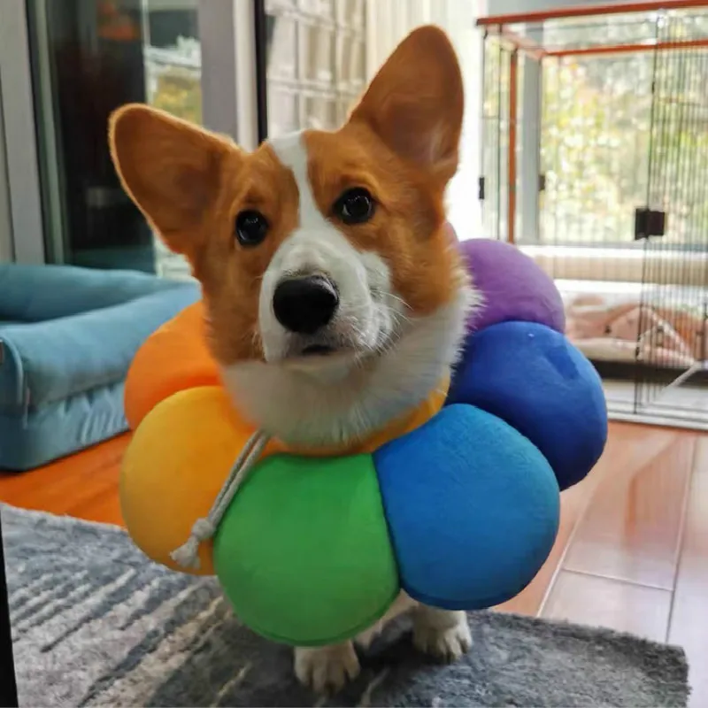 Модная игрушка для домашних животных маленького фардоу корги собака/кошка