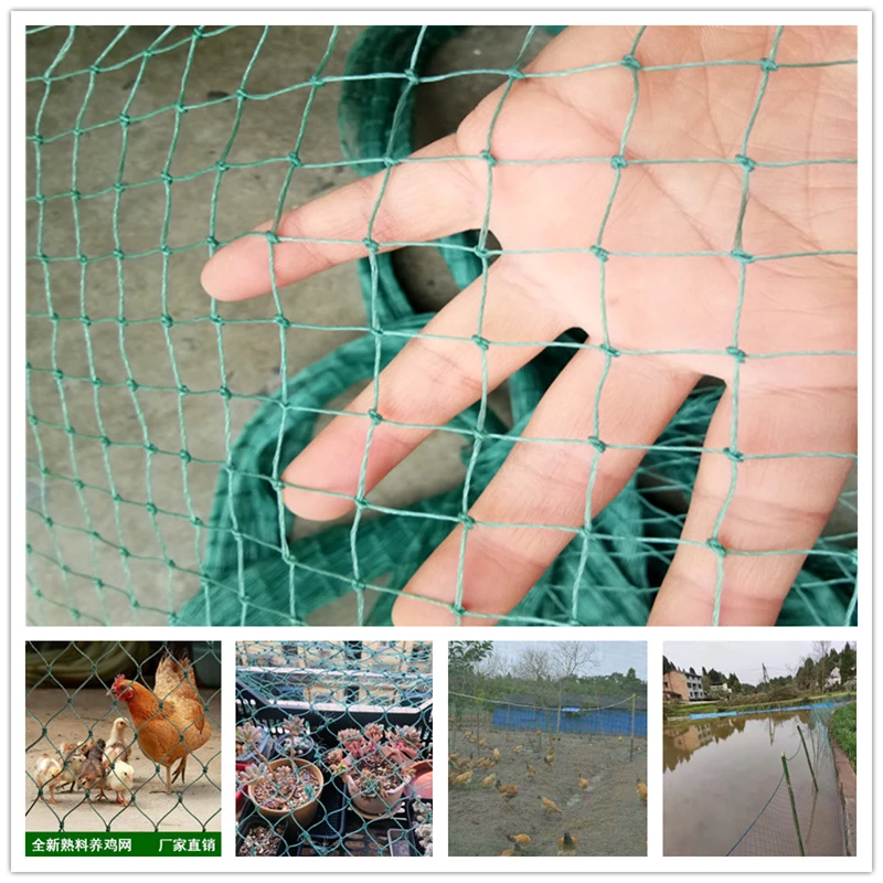12Strands -3cm Families and farms breeding net Orchard bird net Garden protection net Balcony stairs protection net Anti cat net