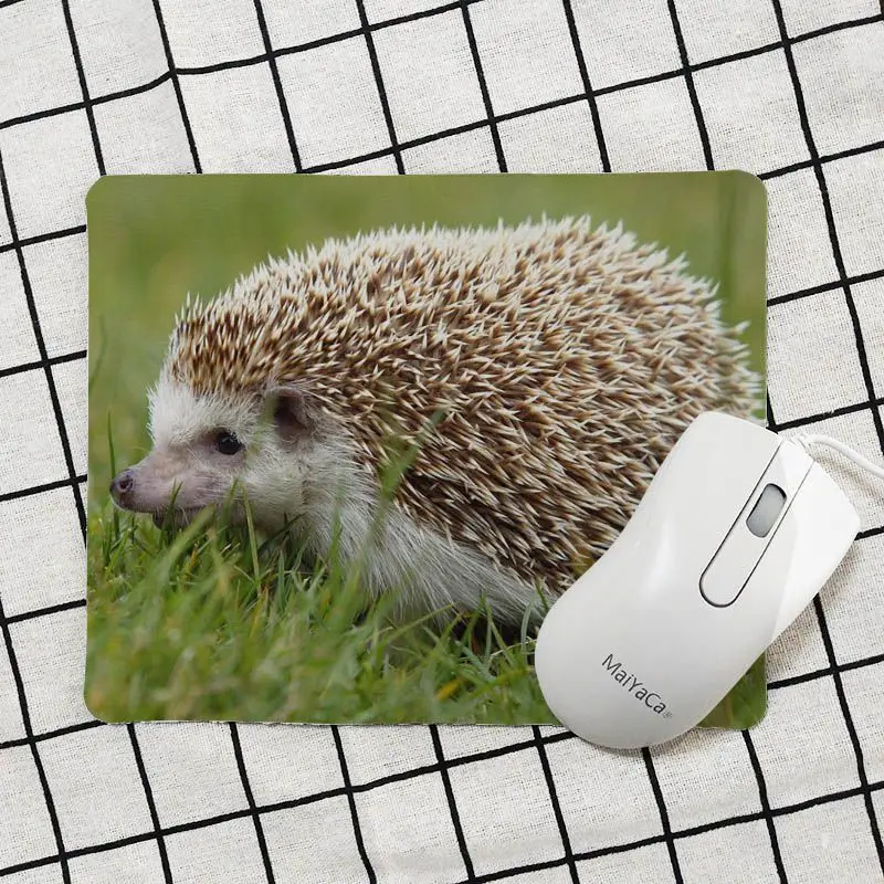 

MaiYaCa Simple Design Hedgehog animal Pattern Computer Gaming Mousemats Simple Design Speed Gaming Mouse Pads 18x22cm desk mat