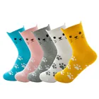 Новые модные женские хлопковые носки с героями мультфильмов в стиле Харадзюку, яркие милые носки с забавными рисунками кошек и животных, 4 сезона, носки для девочек, рождественский подарок носки с принтом длинные