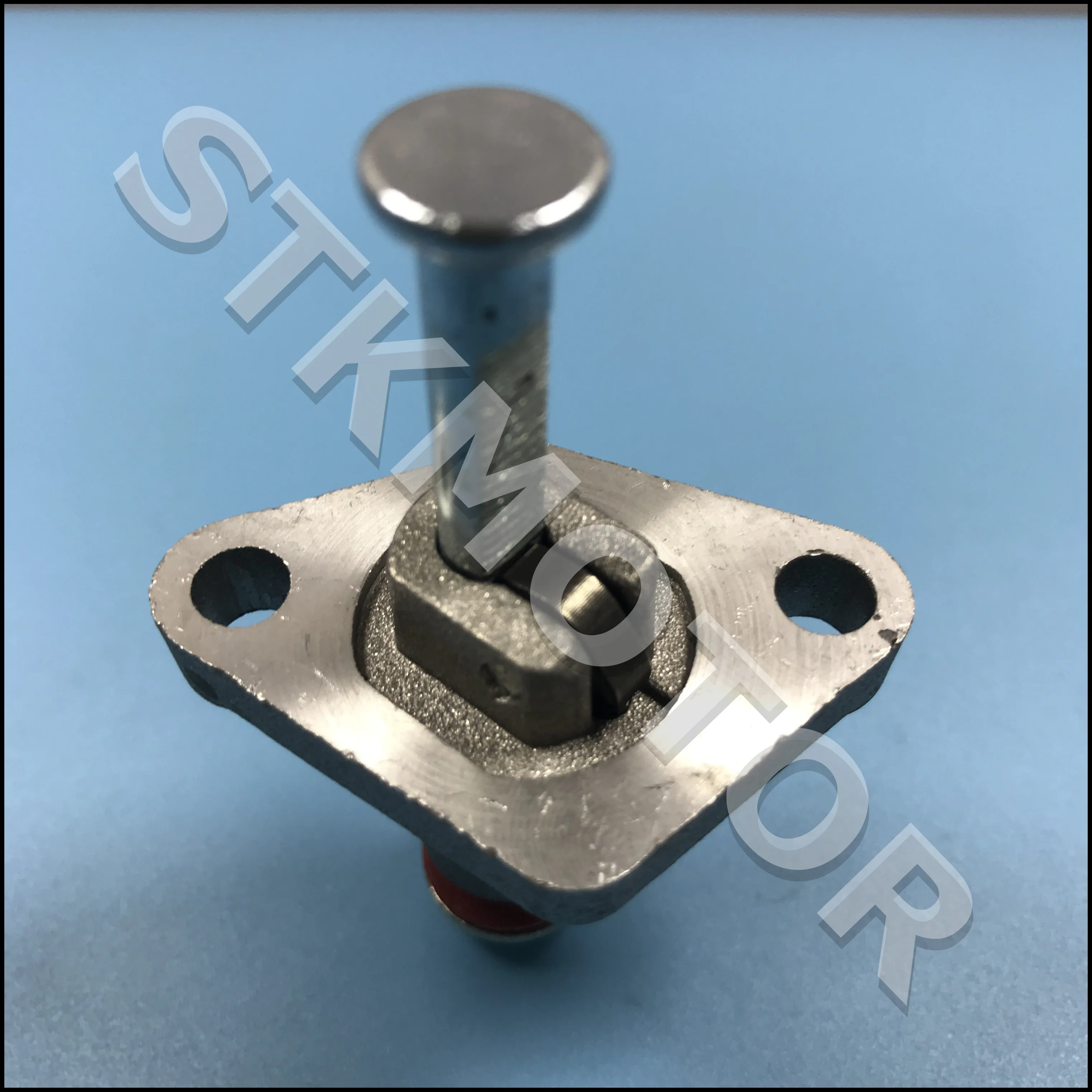 Натяжитель цепи кулачка Buyang Feishen FA D300 H300 G300 Stels 300CC Assy 2.4.01.0080|Детали и аксессуары
