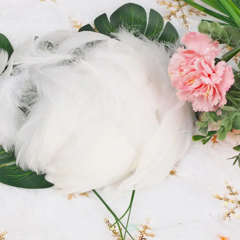 Цветное перо и гусиное в сборе подходящие ювелирные аксессуары для свадебной