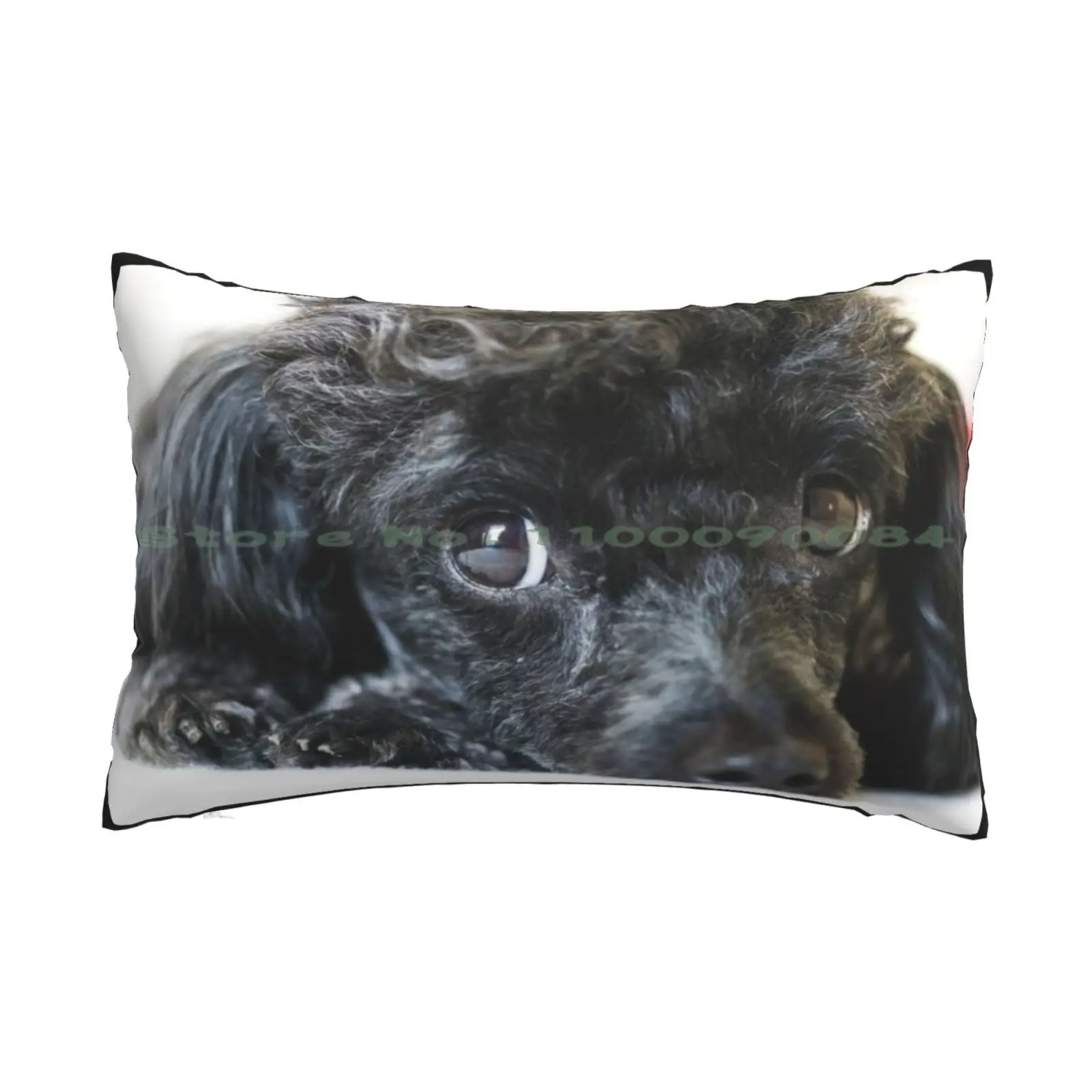 

Подушка в виде пуделя Φ 20x30 50*75 диван для спальни черные и серые пуделы бриндл Пудель круглая собака Северная Каролина черные пуделы для домашних животных