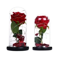 beauty and the beast rose bouquet glass cover with lamp room decoration led night light for valentines gifts freeshipping