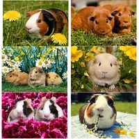 new 5d diy diamond painting full square round drill hamster diamond embroidery animal cross stitch crafts home decor manual gift