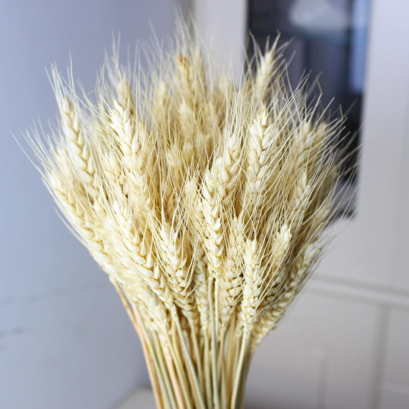 

Natural Dried Flowers Grain Bouquet Wheat Ears Pampas DIY Wedding Party Store Garden Decoration Christmas Craft Gift Dekoration