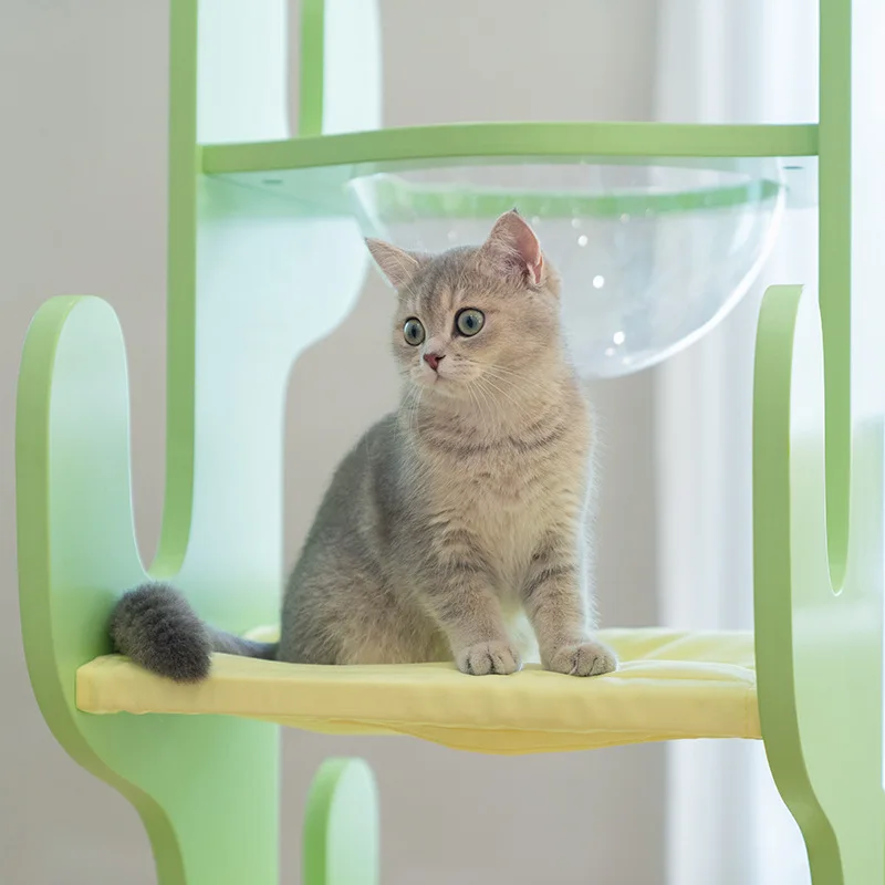 Рамка для лазания домашних животных кошек кактусов полка космическая капсула с