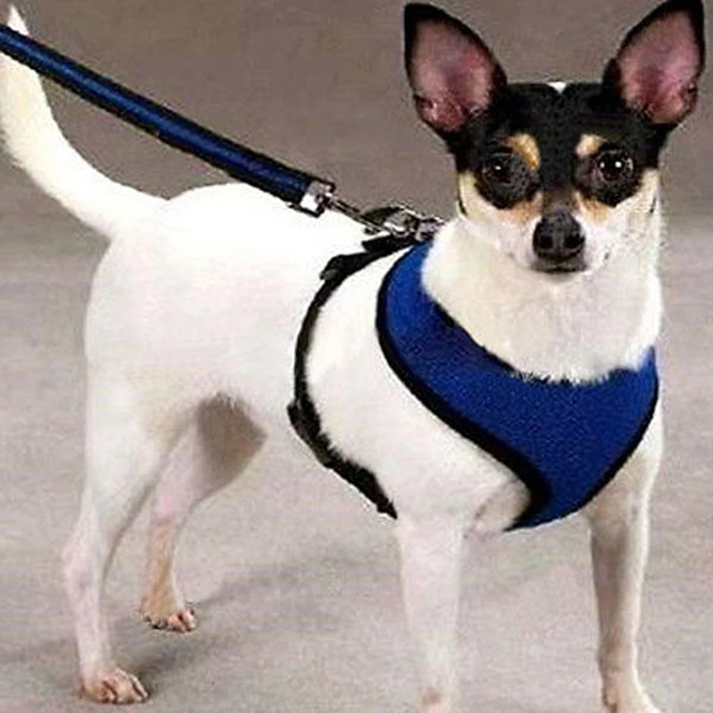 

Soft Comfortable Pets Vests Harnesses Fashion Mesh Dog Harness Convenient Adjustable Pet Control Safety Strap Dogs Mesh Vest