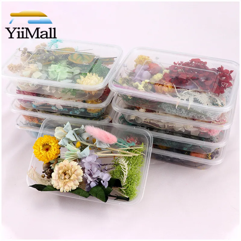 

1 Box Mixed Real Dried Flowers Dry Plants Pressed Flowers for Epoxy Resin Pendant Necklace Jewelry Making Craft DIY Accessories