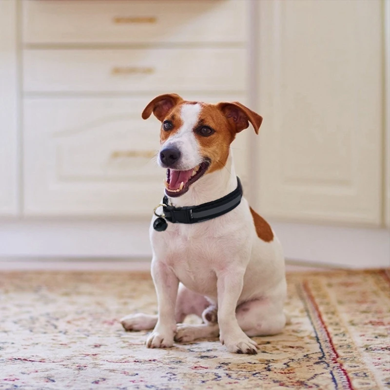 

New Pet Collar Reflective Pet Bell Collar Adjustable Size Suitable for Cats and Small Dogs Pet Supplies Basic Collars Wholesale