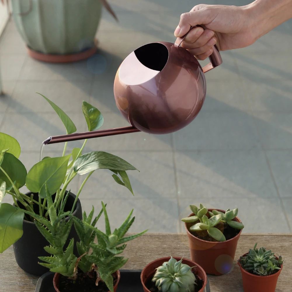 

1500ml Stainless Steel Watering Can Bonsai Indoor Plants Water Pot With Long Spout