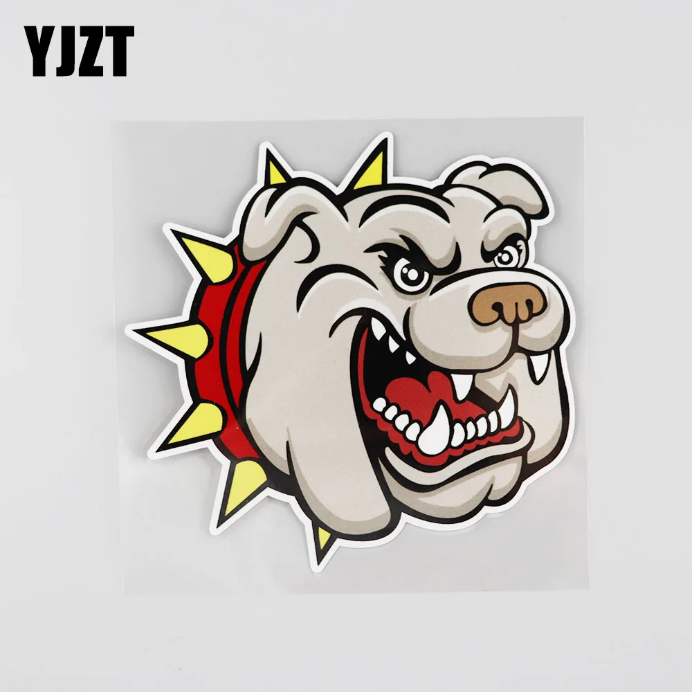 

YJZT, 14, 3 см x 14 см, интересная фотосессия собаки, фотосессия 13B-0112