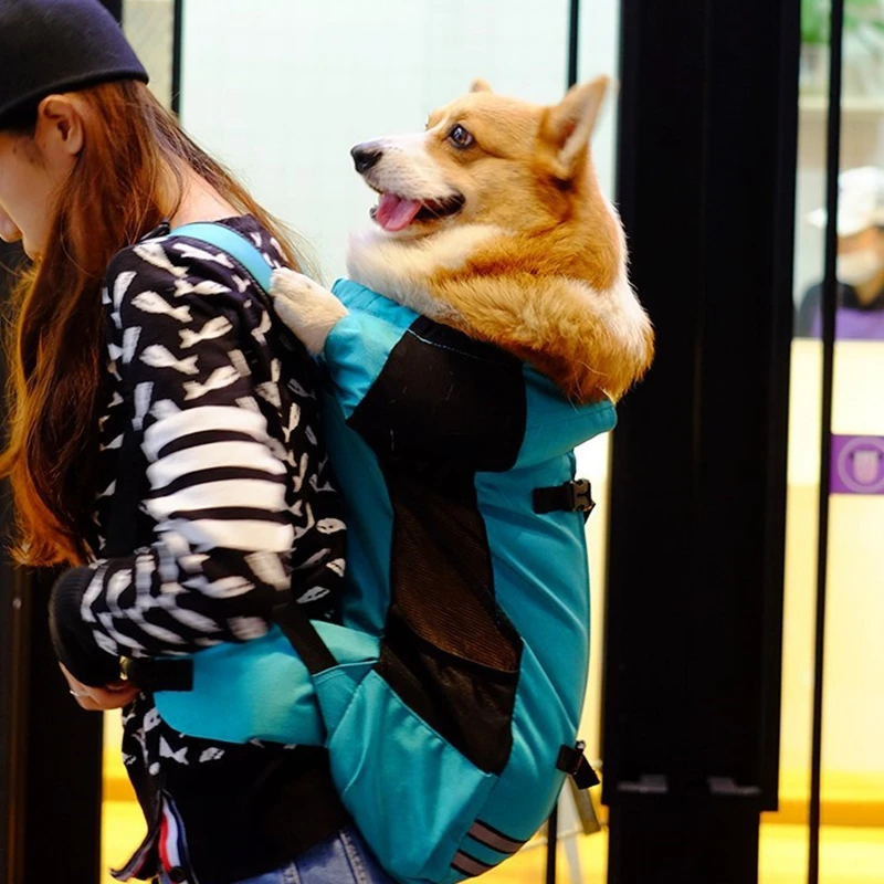 

New Hot Pet Outdoor Backpack Medium Dog Breathable Sport Bag Pocket Cat Backpack Carrier Bag For Traveling 2020 HOT