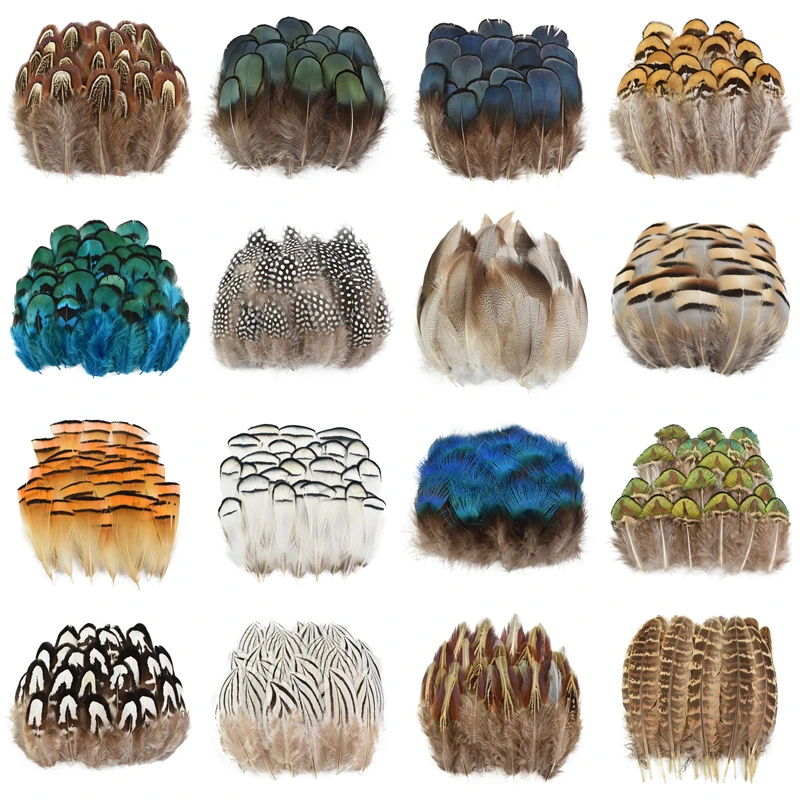 

Wholesale Natural Peacock Pheasant Feather Small Feathers Plumes for Needlework Handicraft Accessories Decor Jewelry Decoration