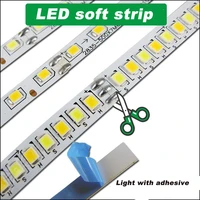 flexible 2835 smd monochrome double colors led stripwith a constant current for living room ceiling lightswork with led driver