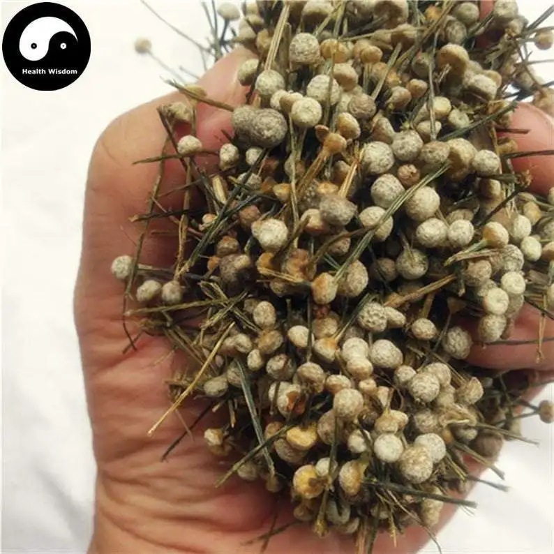

Gu Jing Cao, Flos Eriocauli, Buerger Pipewort Flower