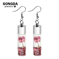 songda fashion immortal dried flowers resin earrings 3d transparent glass drift bottle drop earrings for women handmade jewelry