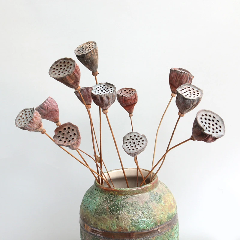 

10Pcs Lotus Natural Dried Flowers Farmhouse Dried Plant Branch Fall Decorations For Home Party Office Decorative Pressed Floral