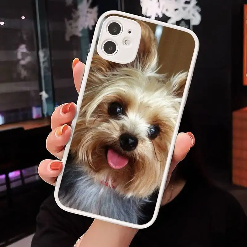 

Cute Yorkshire terrier dog Phone Case Matte Transparent for iPhone 7 8 11 12 s mini pro X XS XR MAX Plus cover funda