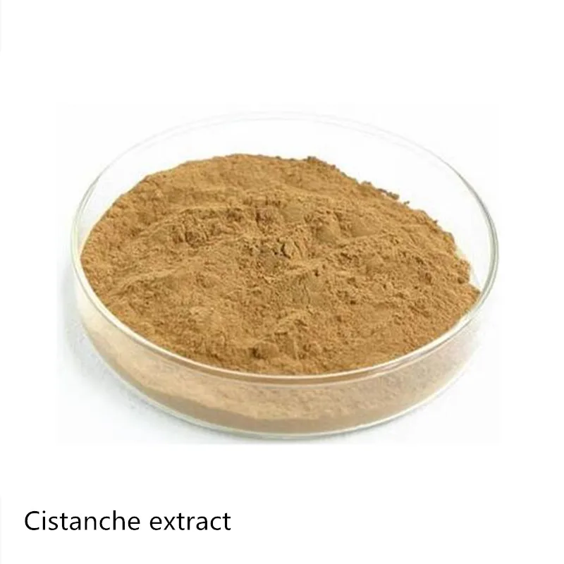 

No addition Cistanche Extract power 10:1/ rou cong rong / Cistanche deserticola Ma Desertliving Cistanche