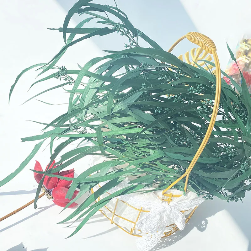 

Natural Eucalyptus Leaves DIY Wedding Home Decor Dried Flower Eucalyptus Leaves Real Plant Eucalyptus Branches Stem Desk Decor