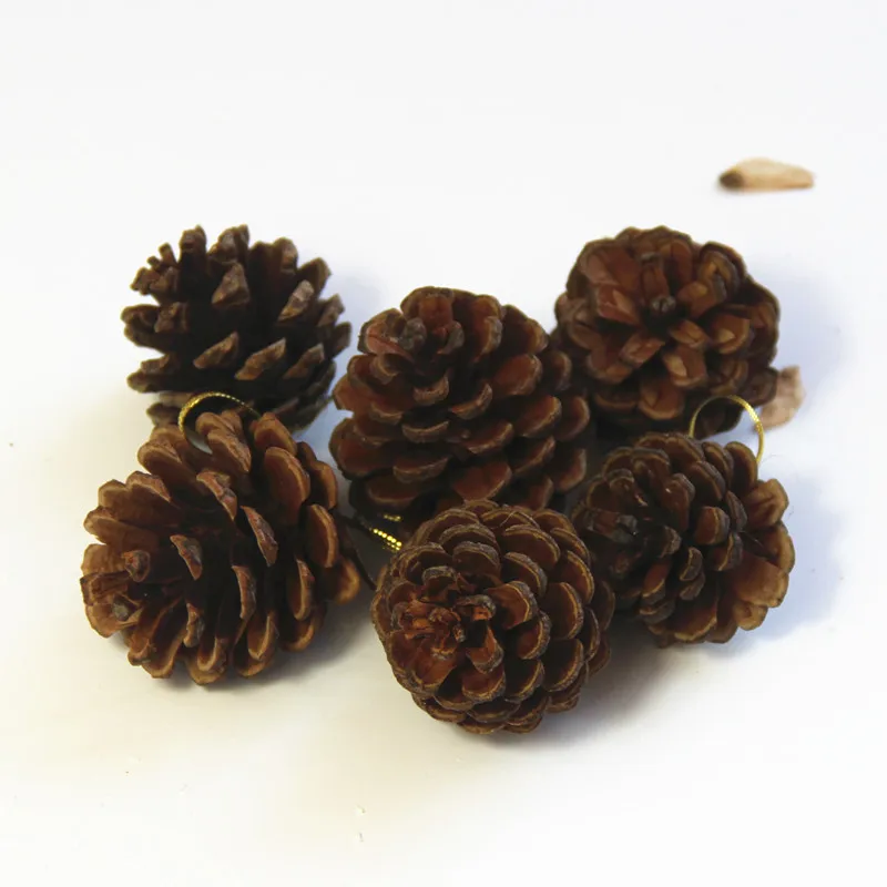 6 шт. мини декоративные сосновые шишки Pinecone для рождественской елки ваза миска