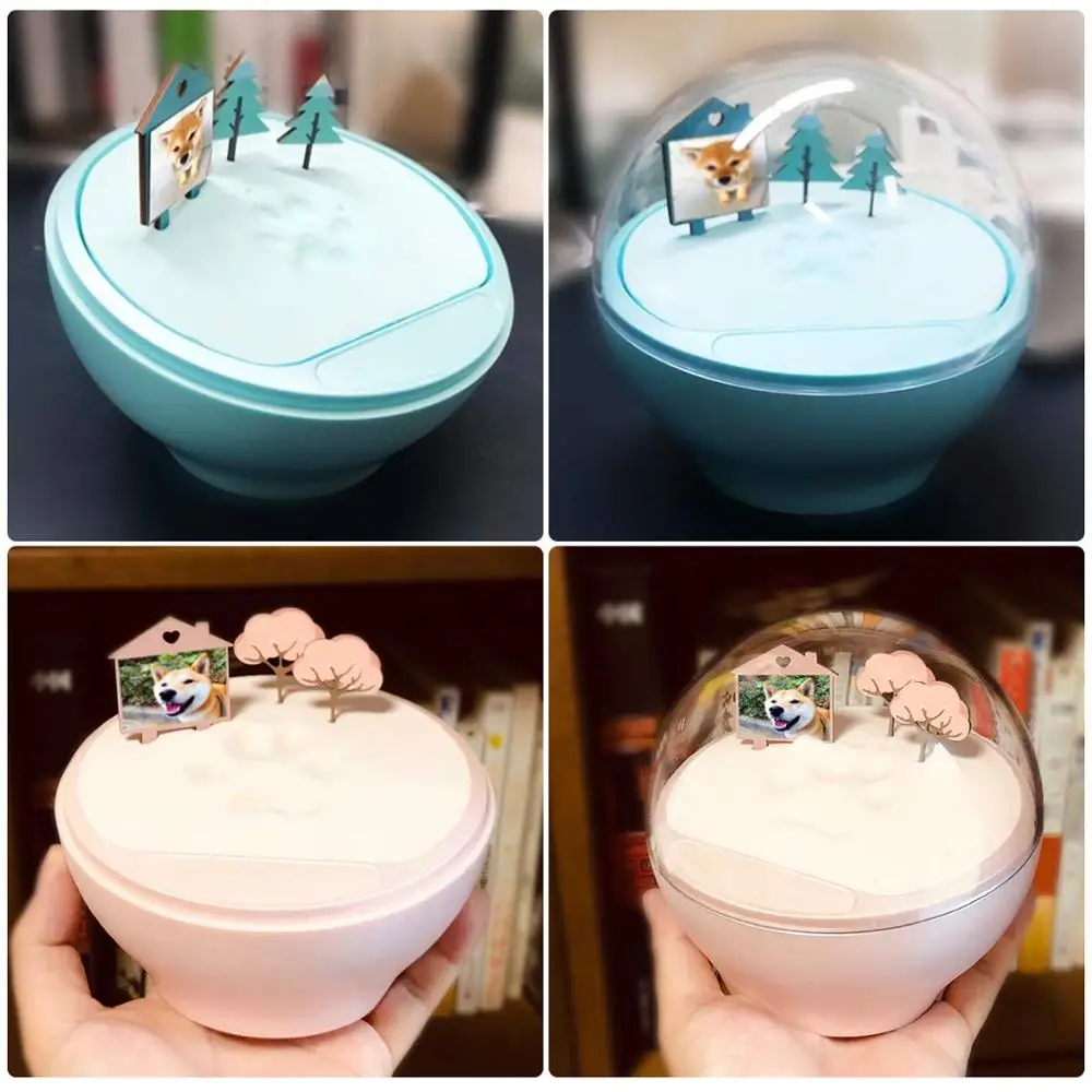 2021 горячая Распродажа подарочные носки с принтом медвежьей лапы комплект Pet