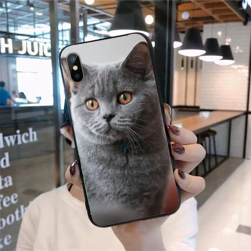 

British shorthair cat Phone Case for iPhone 11 12 pro XS MAX 8 7 6 6S Plus X 5S SE 2020 mini