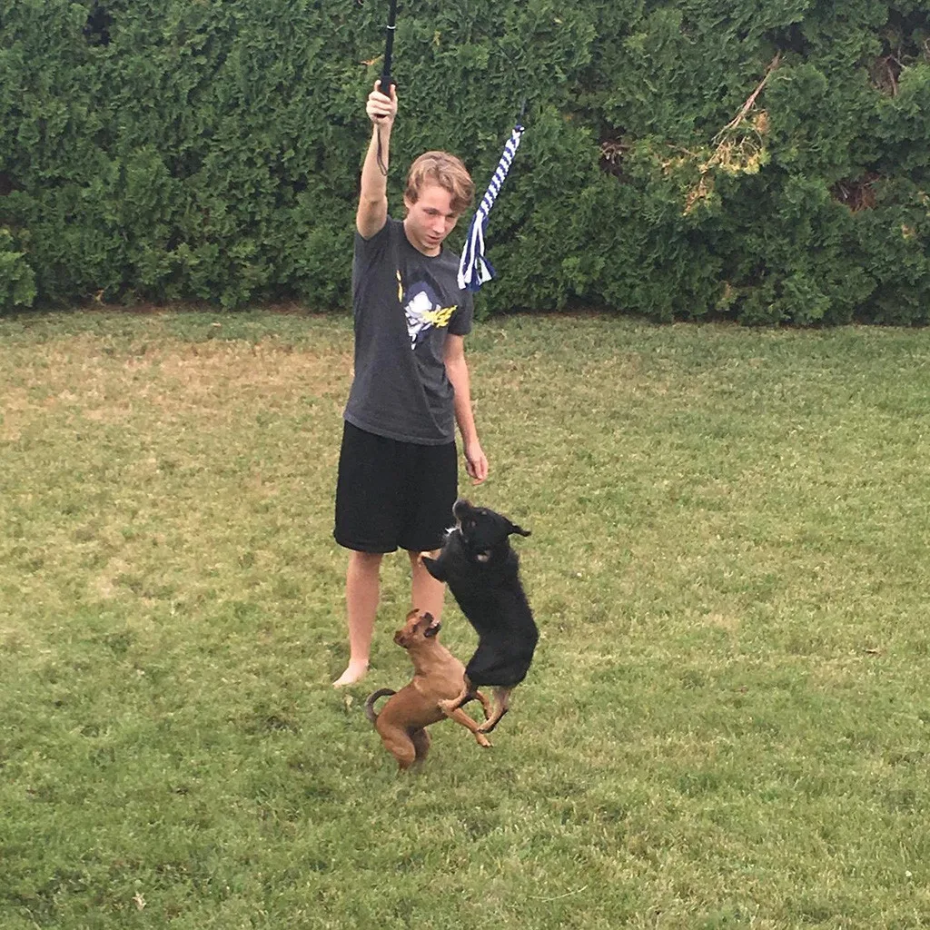 Уличная игрушка для собак раздвижная палочка с 2 веревками жевательные игрушки