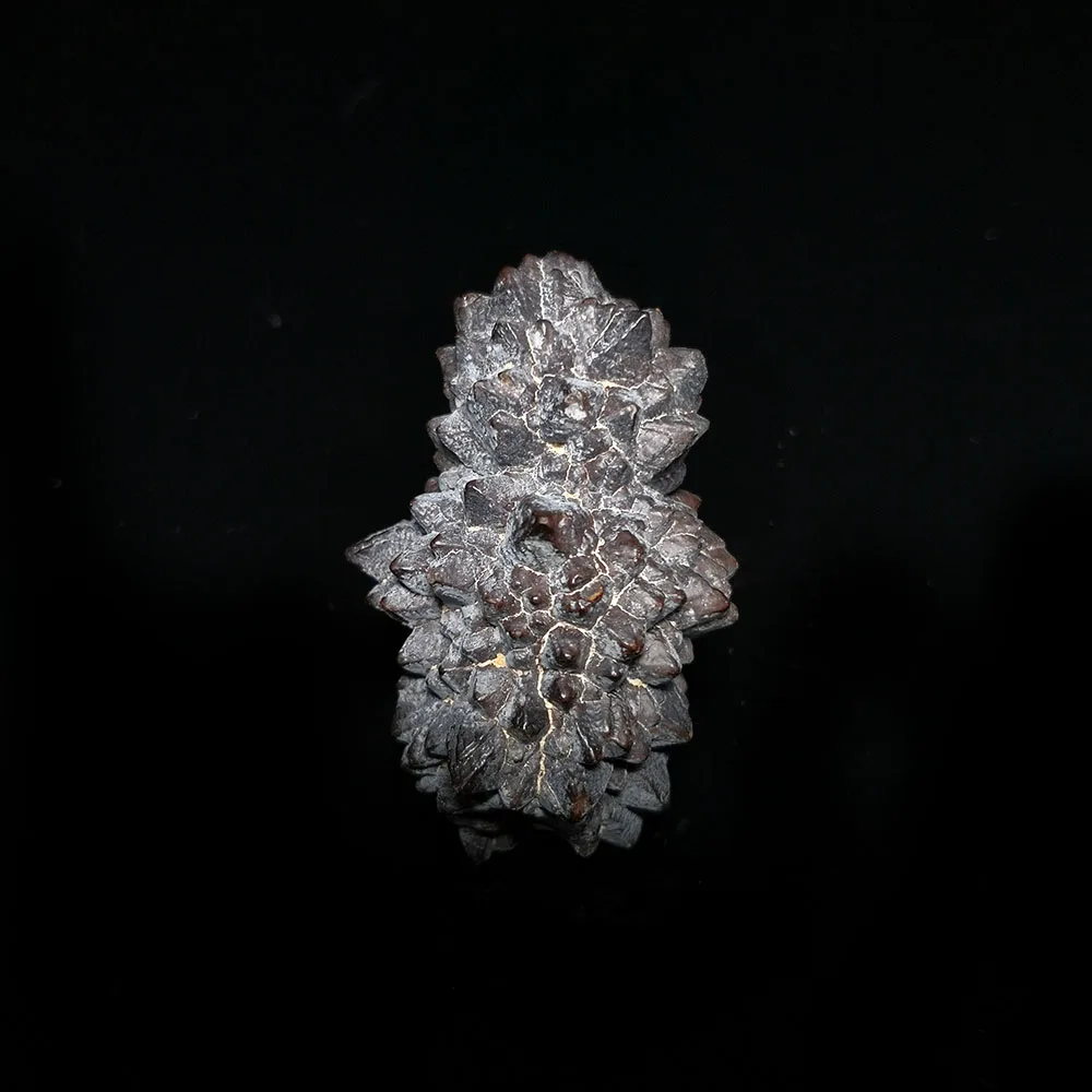 

43g A4-2gy Natural Limonite Mineral Specimen Collection Teaching Form Egypt