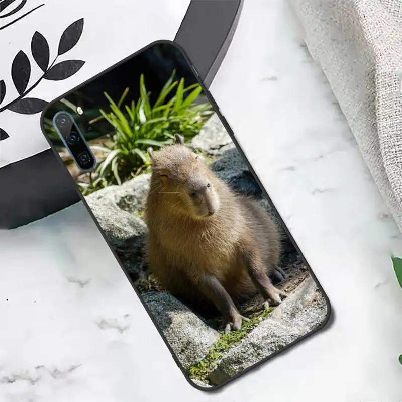 

Capybara cute animal pattern Phone Case For Huawei honor Mate P 10 20 30 40 i 9 8 pro x Lite smart 2019 nova 5t
