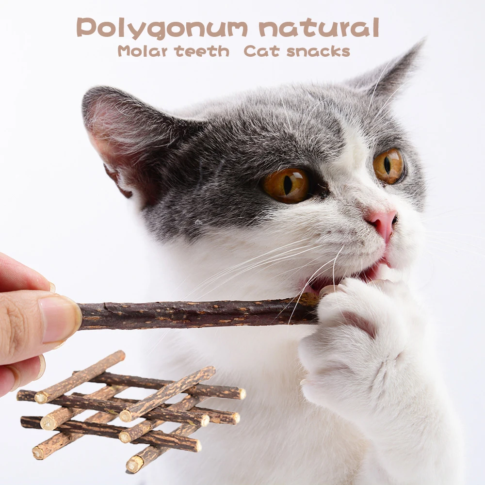 

10 шт. экстракт натурального дерева Pet кошачья игрушка Безопасность молярная зубная паста филиал чистки зубов для кошек снэки палочки для до...