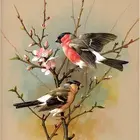 Картина по номерам Gatyztory сделай сам, наборы ручной росписи с птицами, холст с животными, настенное украшение, рама 60  75 см