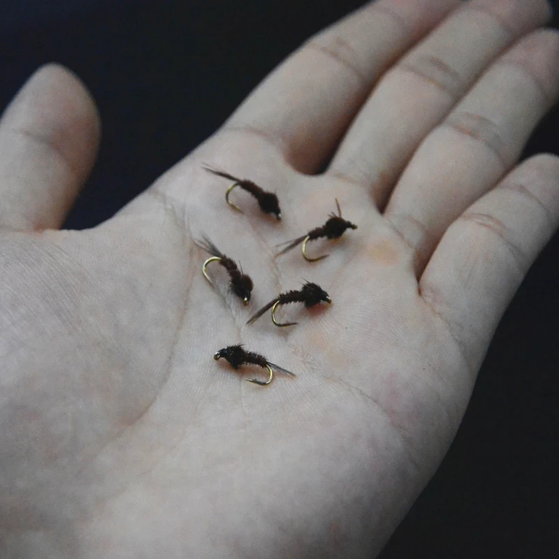 CONTEMPLATOR 5 шт. 14 # фазан хвост Нимфа для вязания мух коричневая/Радужная Форель