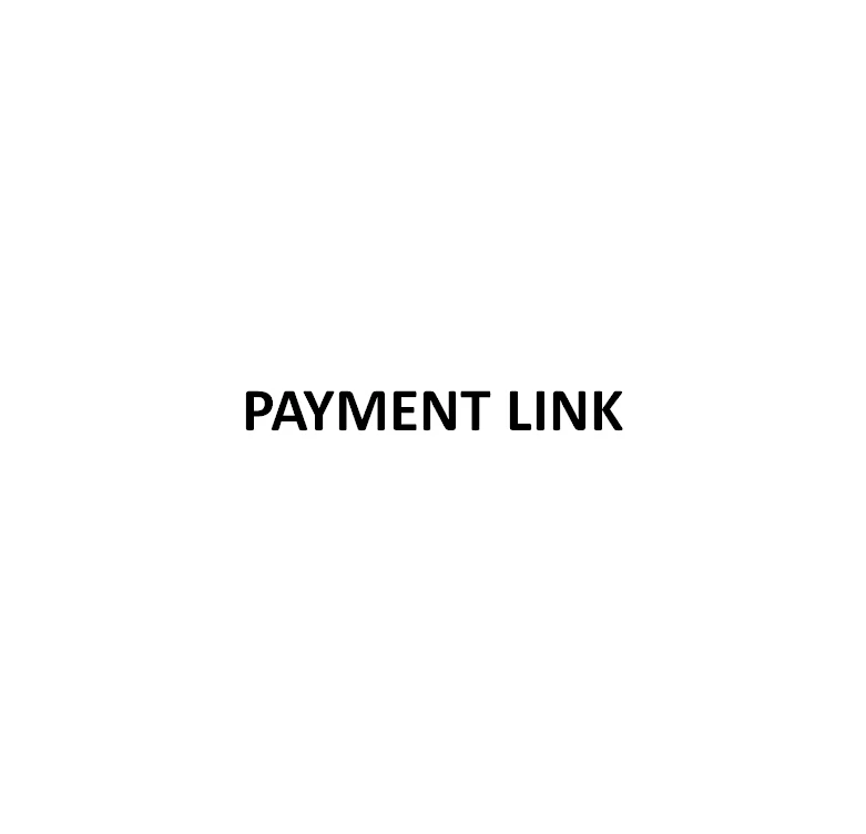 

payment link