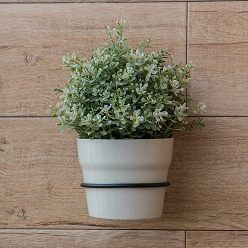 3 шт. 4 дюйма настенный крючок для растений|Кронштейны| |