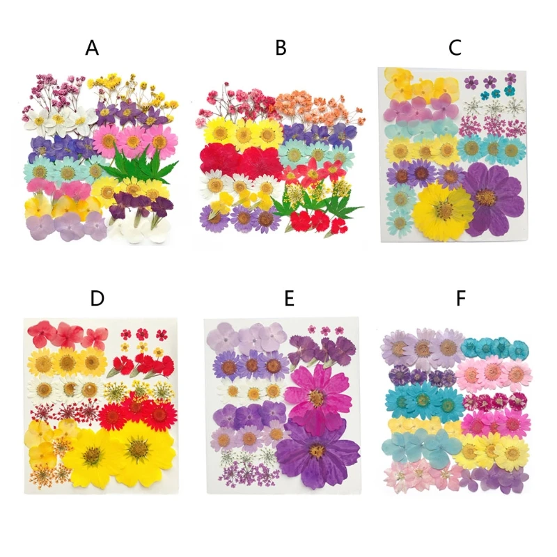 

Real Pressed Flower Leaf Dried Daisy Flower Resin Flower Dry Beauty Nail Art Decals Epoxy Mold Fillings Jewelry Making