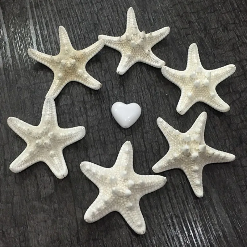 2pcs Natural Starfish Sea Star shell Making DIY Craft Decor | Дом и сад