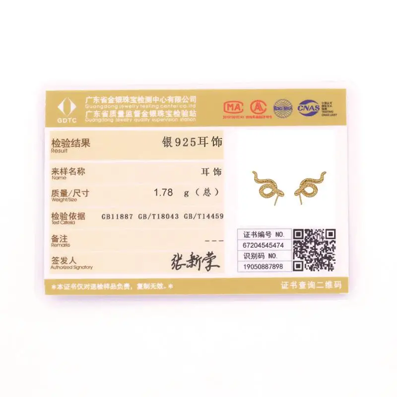 

VINY Silver 925 Jewelry Earrings For Women Serpentine Stud Earrings Gold/Silver Jewelry 2021 Trend Orecchini Brincos Fine