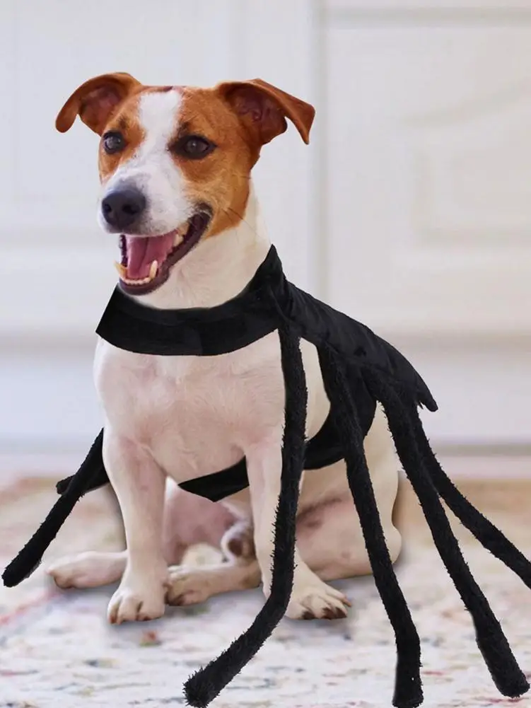 

Инновационный костюм для домашних животных на Хэллоуин, паук, маленькая собака, паук, собака, реалистичное платье, реквизит, украшение на Хэ...