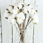 Натуральный сушеный хлопковый цветок, белый Декор для дома, искусственный цветок, ветка, свадебный букет подружки невесты, Декоративные Искусственные белые цветы