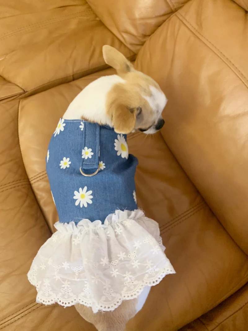 

Short Dog Dress Chihuahua Cat Puppy Dog Clothes Yorkshire Pomeranian Poodle Schnauzer Pug French Bulldog Harness Skirt Clothing