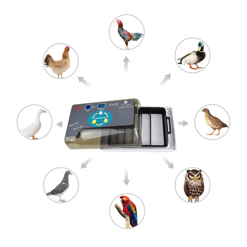Инкубатор для куриных яиц 12 перепелиных | Дом и сад