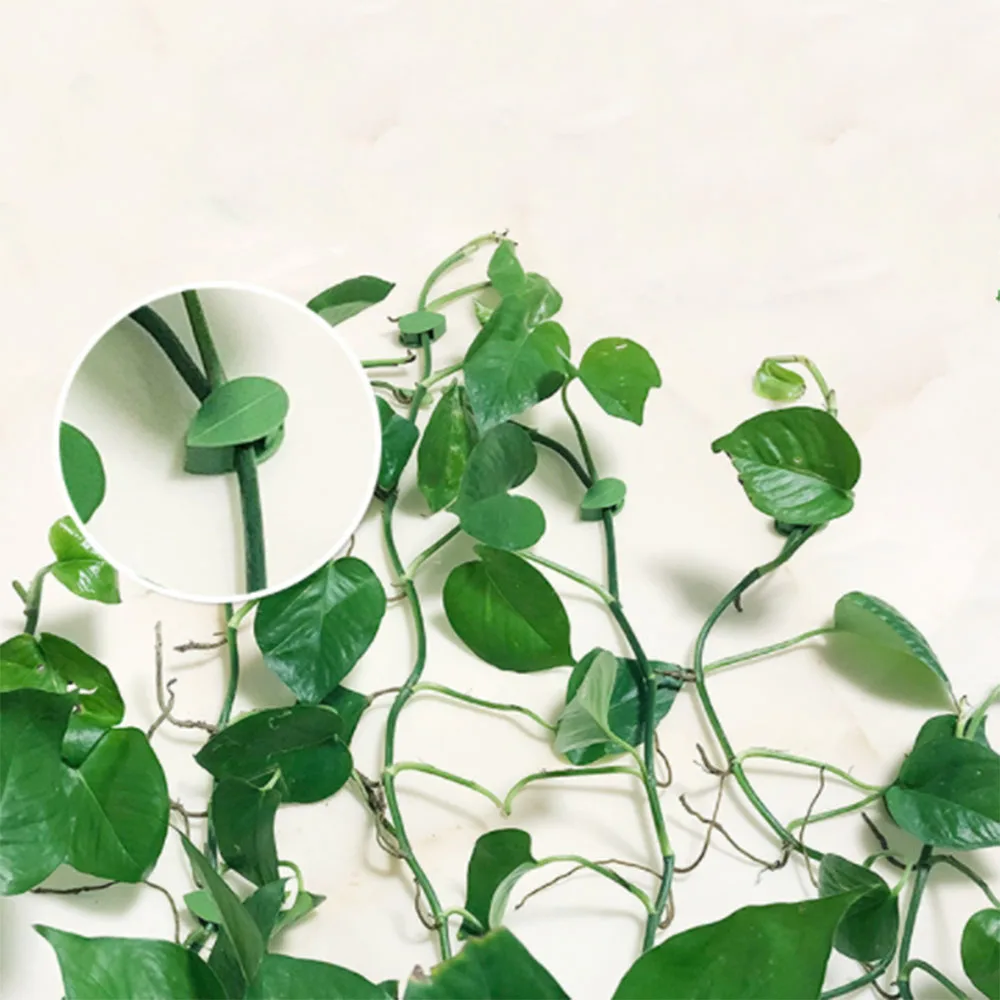 

Plant Fixture Clip Plant Climbing Wall Self-Adhesive Fastener Tied Fixture Vine Buckle Hook Garden Plant Wall Climbing