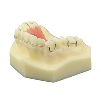 hawley retainer dental model orthodontics treatment teeth bionator removable for study teach