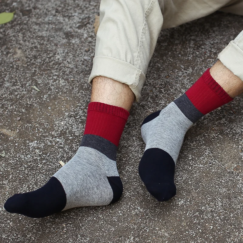 Носки мужские длинные хлопковые удобные цветные деловые в полоску теплые 5