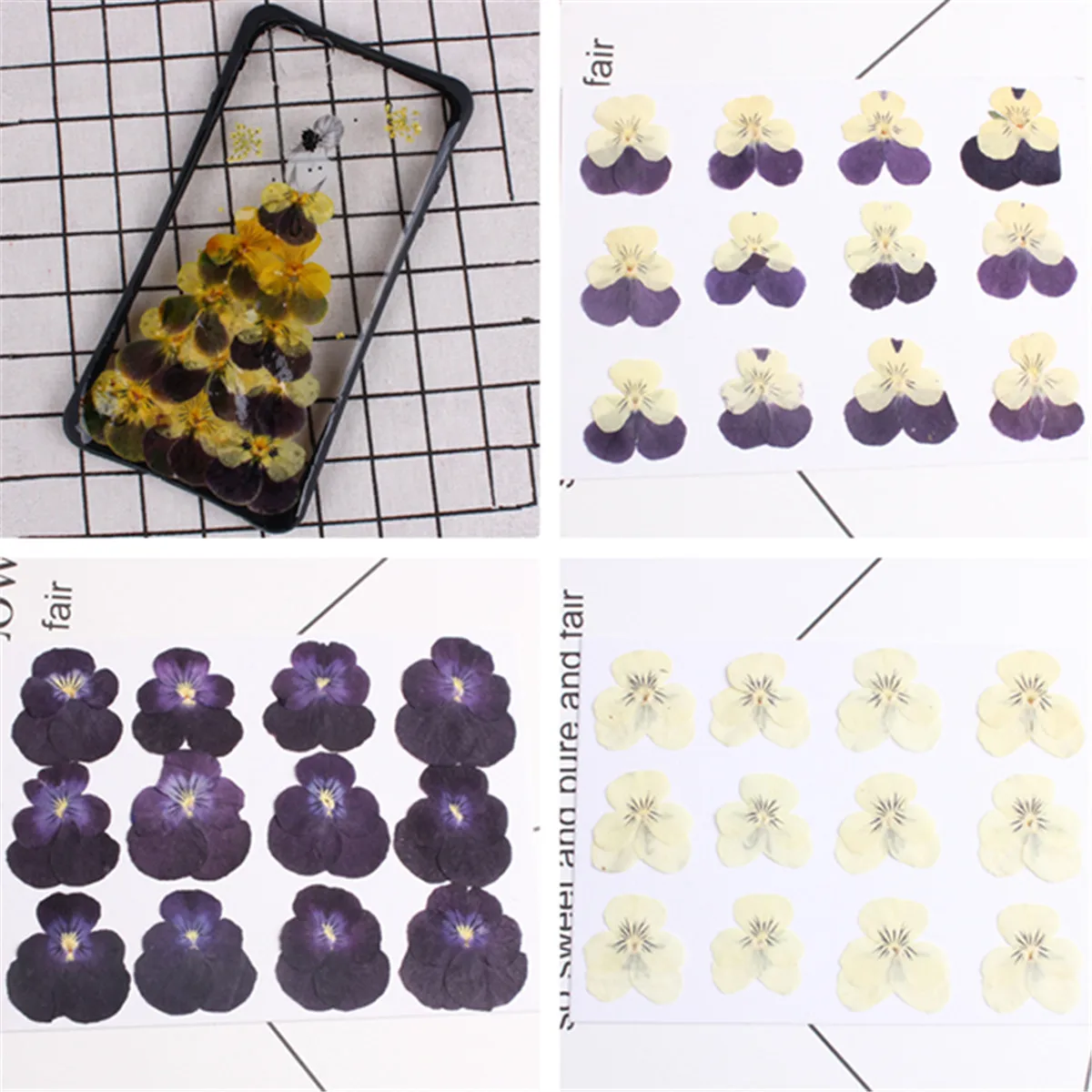 

12pcs Pressed Dried Flowers Real Daisy Pansy for Art Crafts Scrapbooking Decor