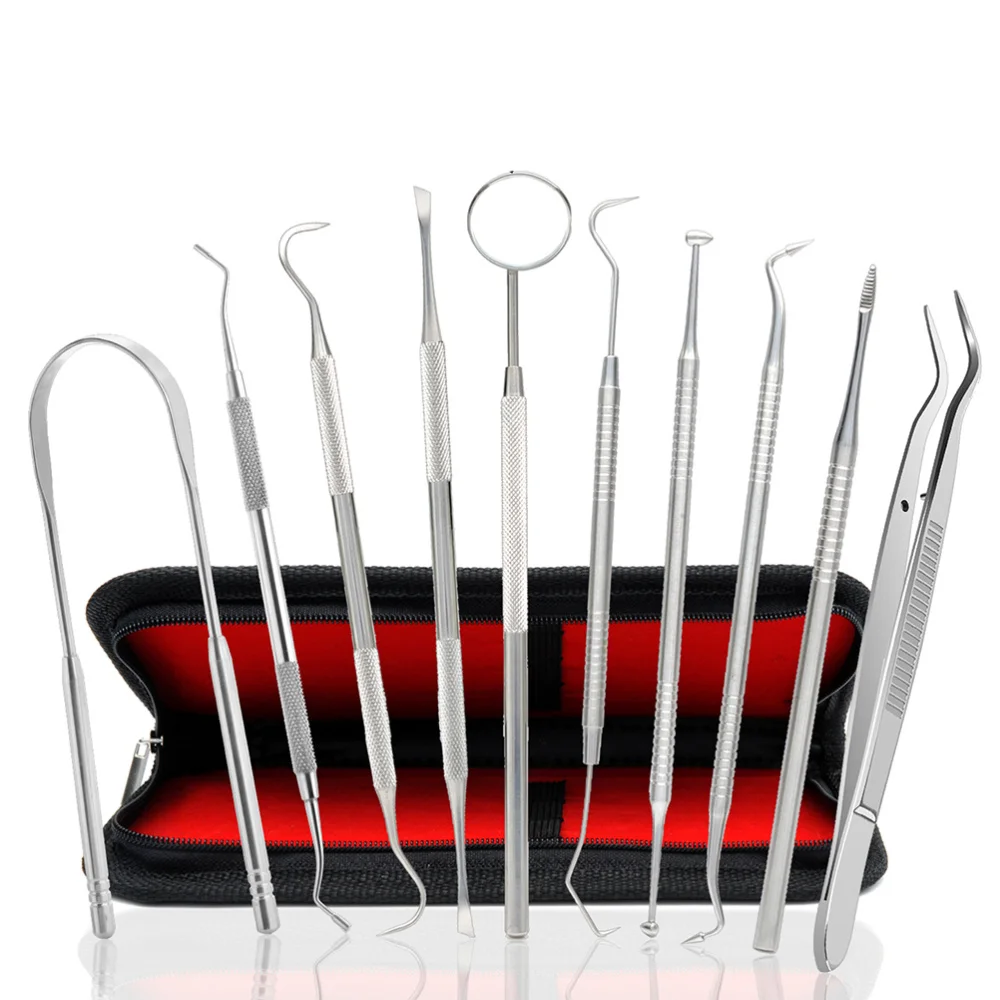 

1 Set Stainless Steel Dentist Tool Kit Stainless Steel Teeth Oral Care Kit